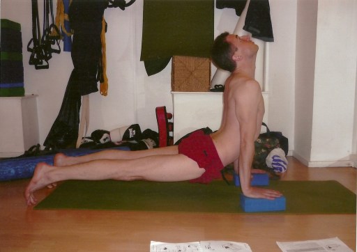 Urdhva Mukha Svanasana
